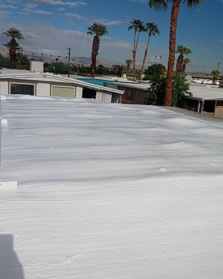 Foam roof finished white with palms and desert beyond